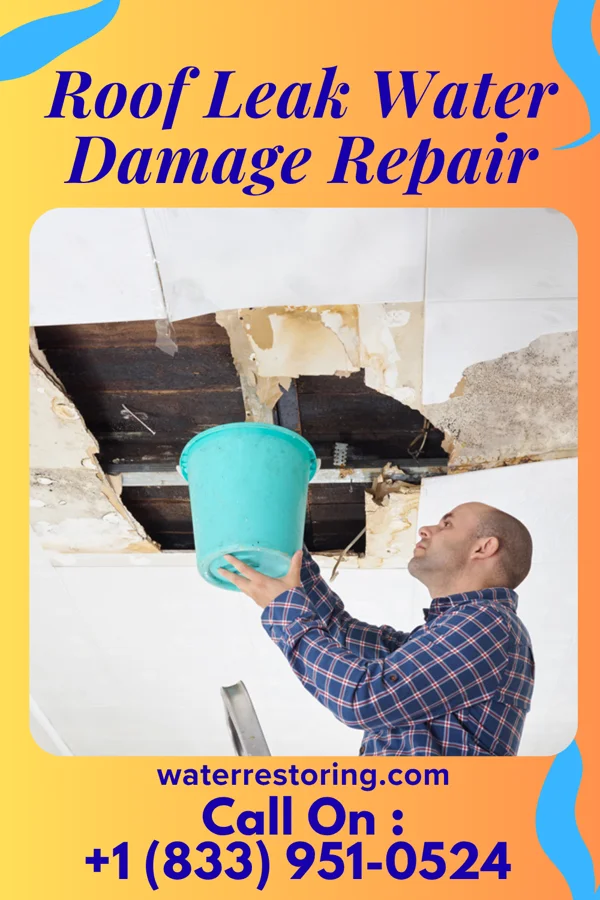 Roof Leak Water Damage Repair in Sterling, MI