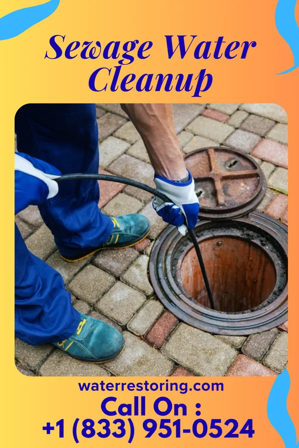 Sewage Water Cleanup in Sterling, MI